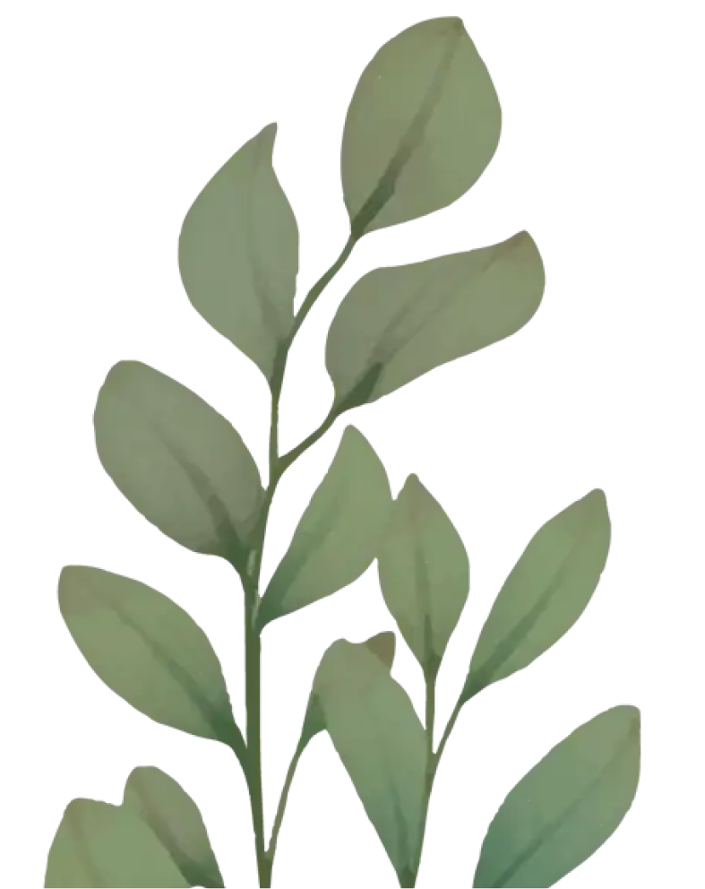 Join Zonia Join Zonia